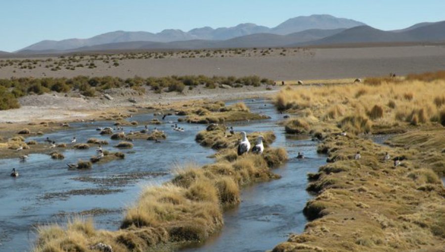 Chile presentó réplica ante corte de La Haya por litigio con Bolivia por el río Silala