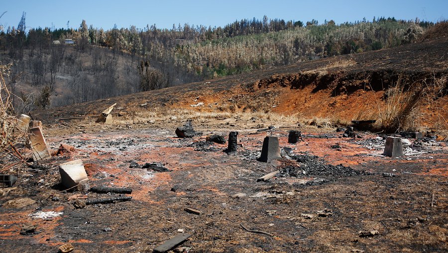 Incendios forestales en La Araucanía han afectado a 16.813 hectáreas
