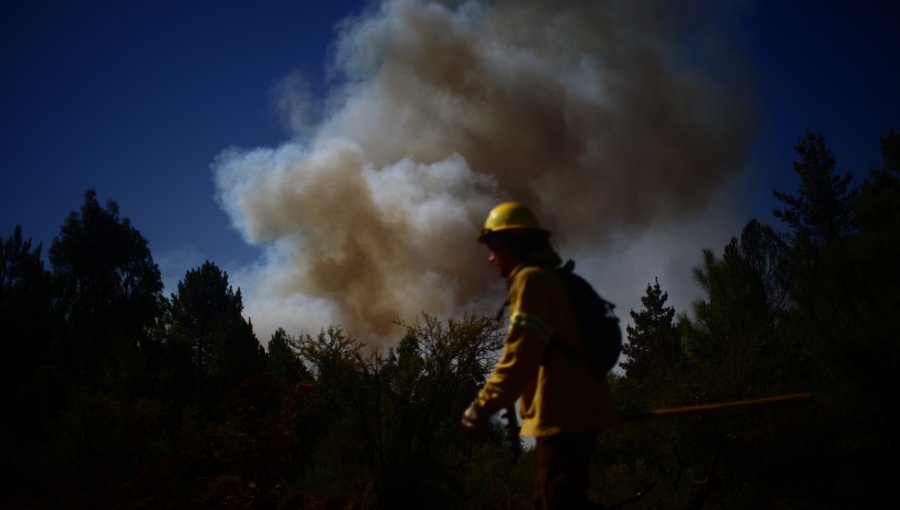 Cinco sujetos quedaron detenidos por provocar incendio forestal en Ancud