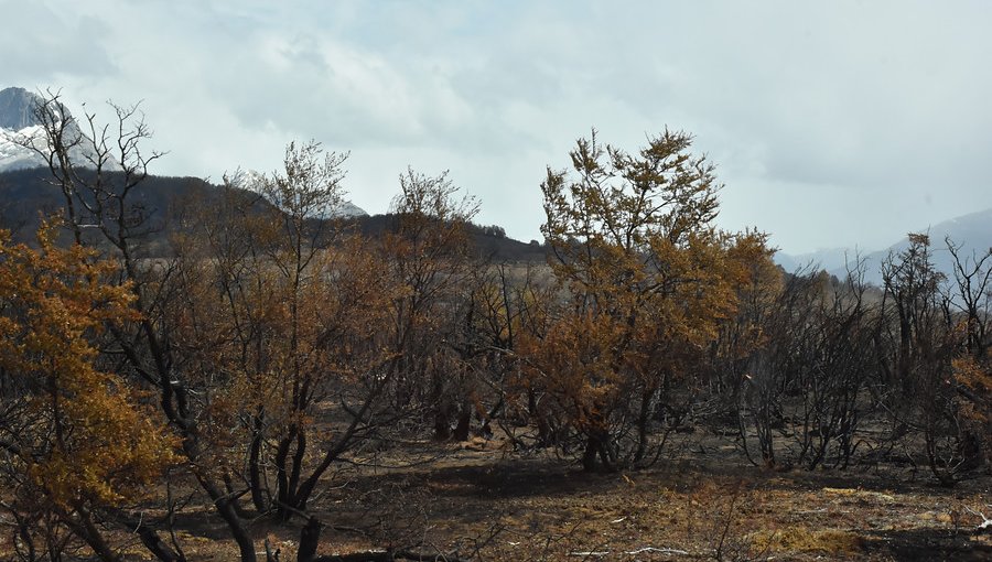 Fiscalía busca determinar responsabilidades por incendios forestales en Aysén