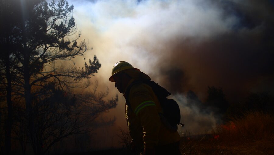 Conaf reporta 49 incendios forestales a nivel nacional: 16 se encuentran activos
