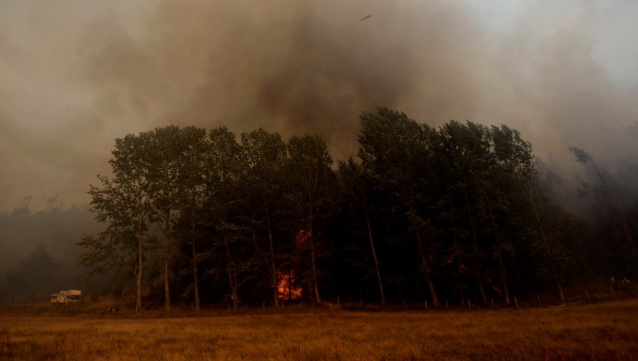 Acusan a comuneros mapuche de iniciar incendio forestal en Victoria, La Araucanía