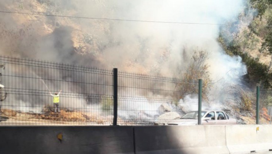 Incendio forestal en subida Santos Ossa moviliza a equipos de emergencia de Valparaíso
