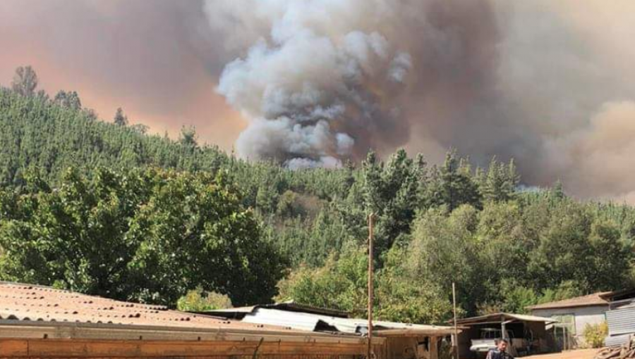 Alerta Roja en Paredones por incendio forestal que ha consumido 57 hectáreas y amenaza a viviendas