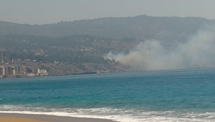Tres hectáreas consumió incendio forestal en sector Laguna Verde de Valparaíso