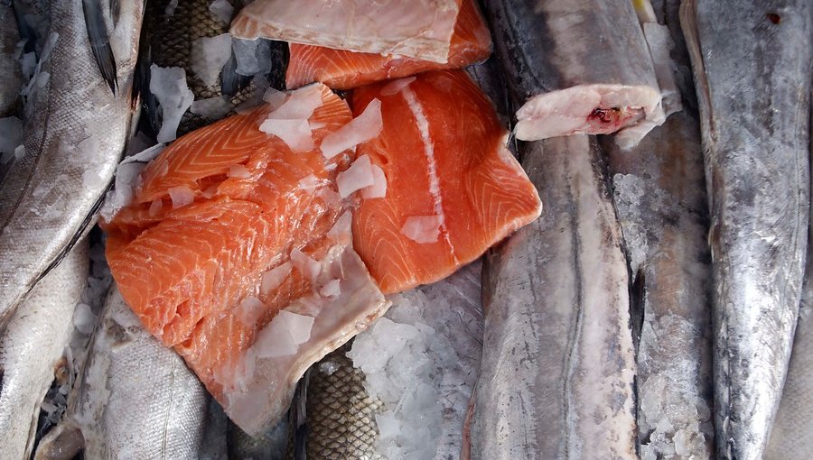 Greenpeace recordó los efectos colaterales que tiene la ingesta de salmón