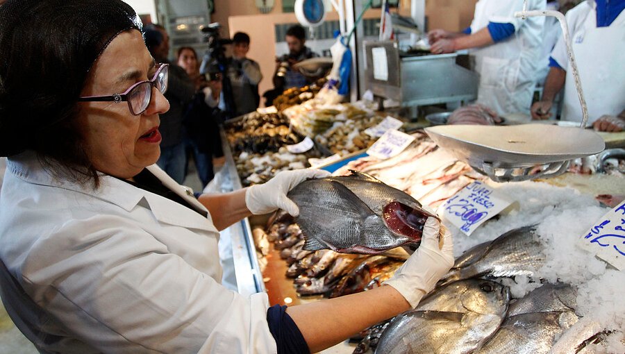 Seremi Metropolitana de Salud inició 70 sumarios y decomisó 404 kilos de pescados y mariscos
