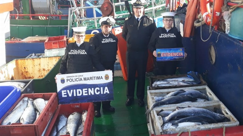 Armada incauta 15 toneladas de salmón robado desde centros de cultivo en Puerto Montt