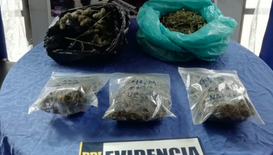 Vecinos denunciaron a mujer de 62 años que vendía droga en su casa en San Felipe
