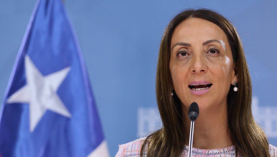 Cecilia Pérez: “Comprendo y he visto el dolor del Presidente Piñera”