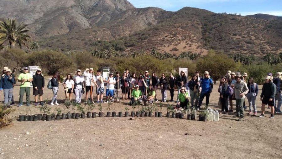 Estudiantes de San Antonio plantaron árboles nativos en el Parque Nacional La Campana