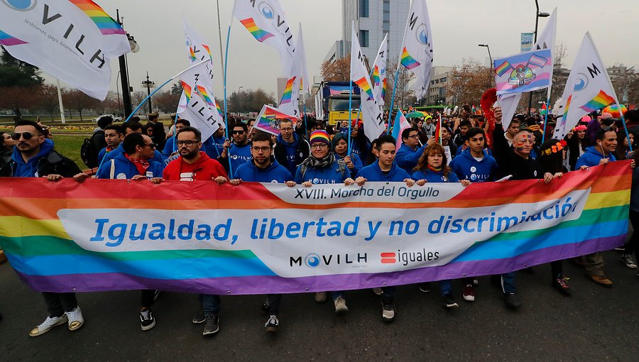 Movilh celebra informe de la Corte Suprema favorable respecto a la adopción homoparental