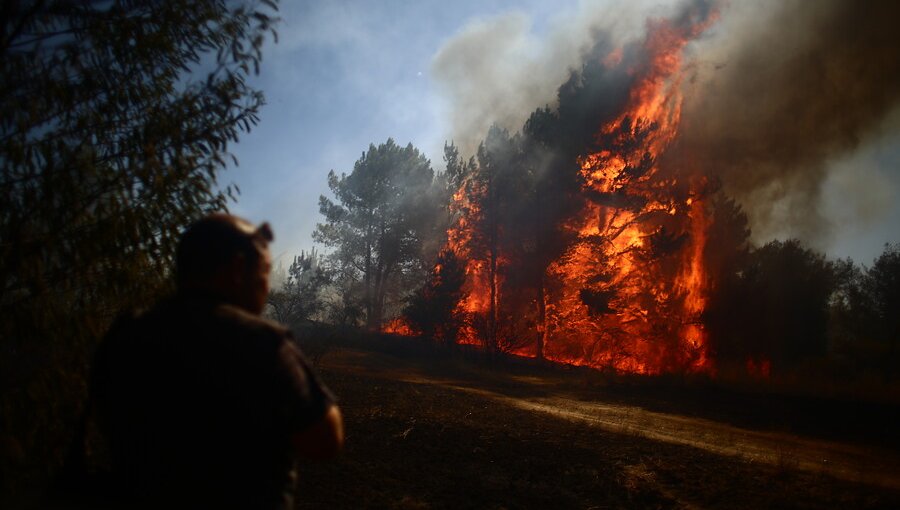 Balance de la temporada: Incendios forestales aumentaron un 10%, pero superficie dañada bajó un 55%