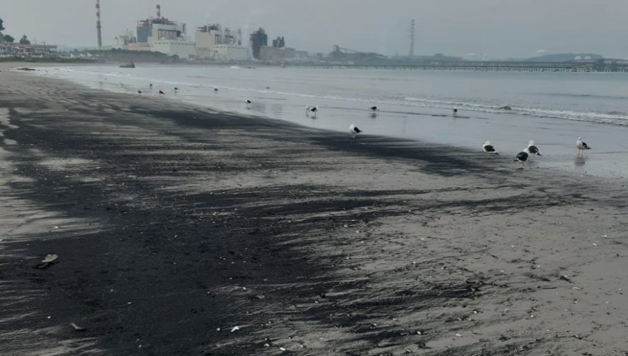 Registran tercer varamiento de carbón en días consecutivos en playa de Puchuncaví