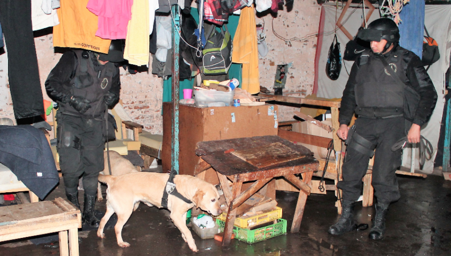 Ejemplar canino de Gendarmería dio un gran golpe al microtráfico en la cárcel de Valparaíso