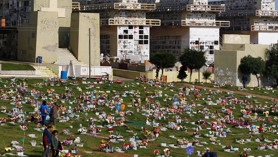 Corporación Municipal condena actos de violencia y redobla atención en cementerio parque de Playa Ancha