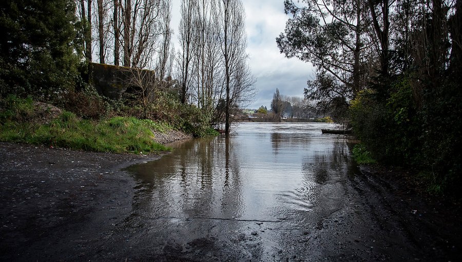 Onemi reportó desborde de ríos en las comunas de Lanco y Mariquina