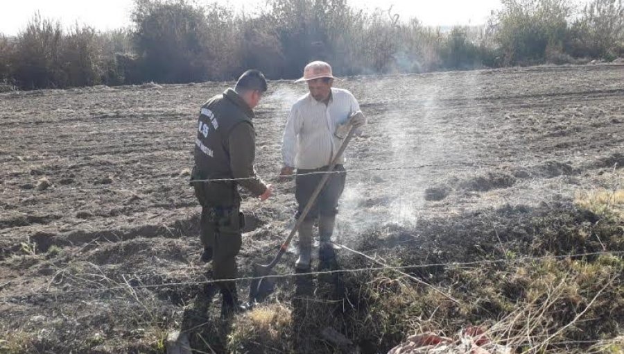 Cinco personas fueron detenidas por quemas agrícolas ilegales en Aconcagua