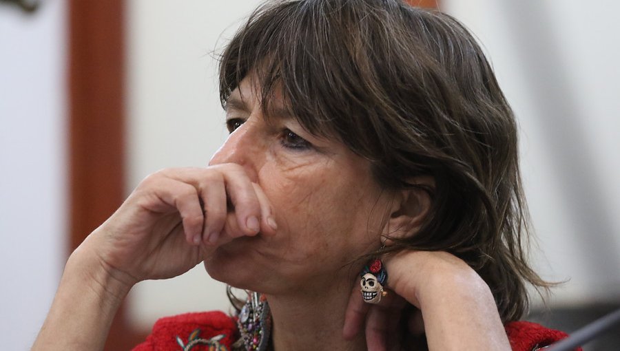 Gobierno condenó brutal agresión a hijo de la diputada Cristina Girardi