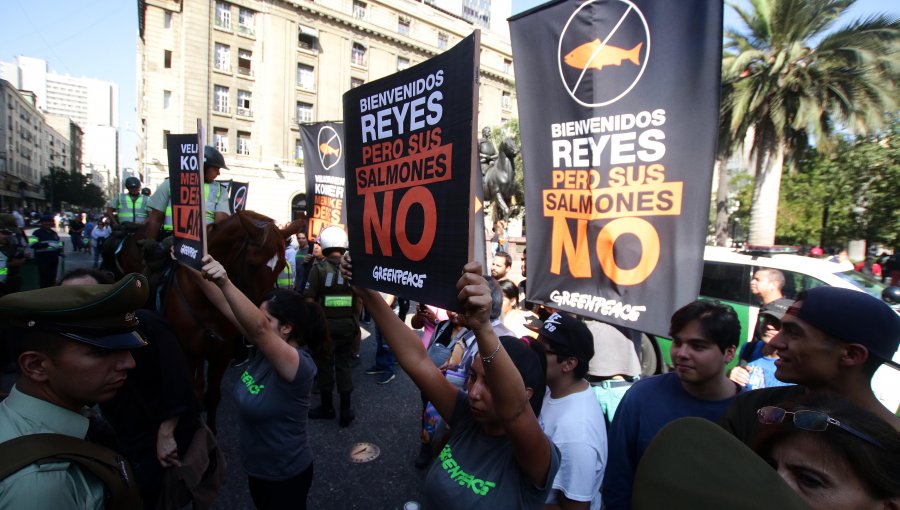 Greenpeace: "Credibilidad de la industria salmonera quedó contra las cuerdas"