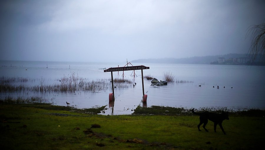 Investigadores determinan que aguas servidas serían el principal contaminante del Lago Villarrica