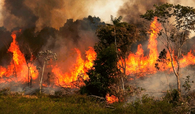 Gobierno ofreció colaboración a Brasil para extinguir los incendios en la Amazonía