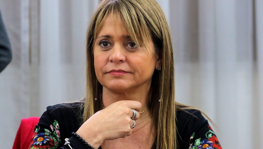Van Rysselberghe acusa "pataleta" del PS por polémica con ministra Cecilia Pérez