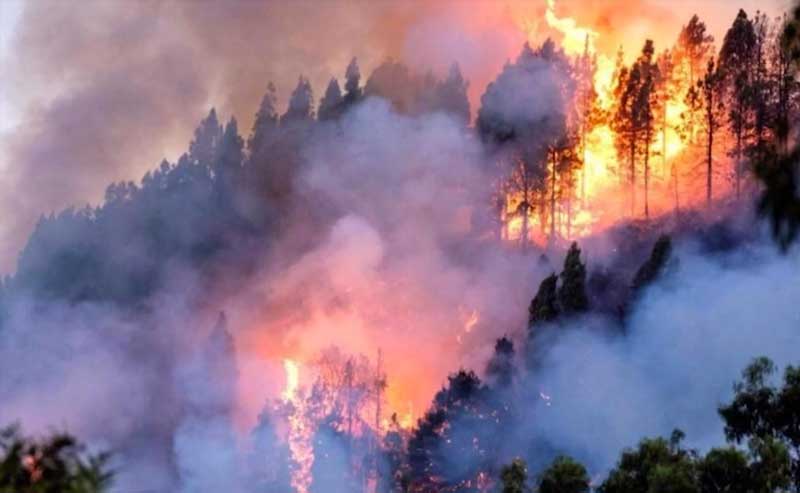 Bolsonaro ordena a las Fuerzas Armadas a combatir los incendios forestales en el Amazonas