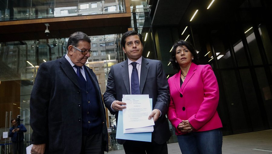 Senadores de oposición denuncian a Cecilia Pérez ante Fiscalía por dichos contra el PS
