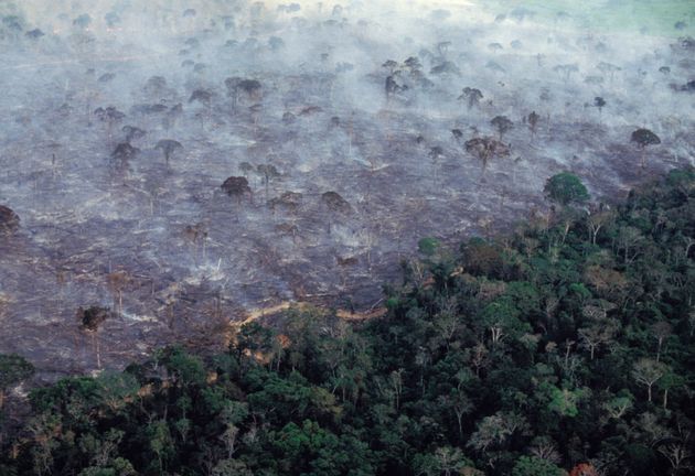 Gobierno de Bolsonaro rechaza ayuda del G7 para combatir incendios en la Amazonía