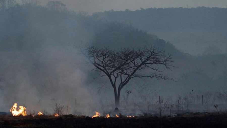 Alemania también ofreció su ayuda a Bolsonaro para combatir incendios en la Amazonía