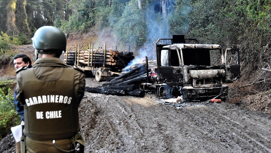 Nuevo ataque incendiario afectó a fundo de Forestal Mininco en La Araucanía