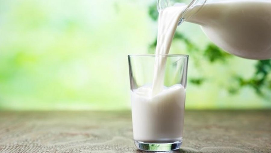 Sala de la Cámara aprobó ley de etiquetado para la leche y productos lácteos