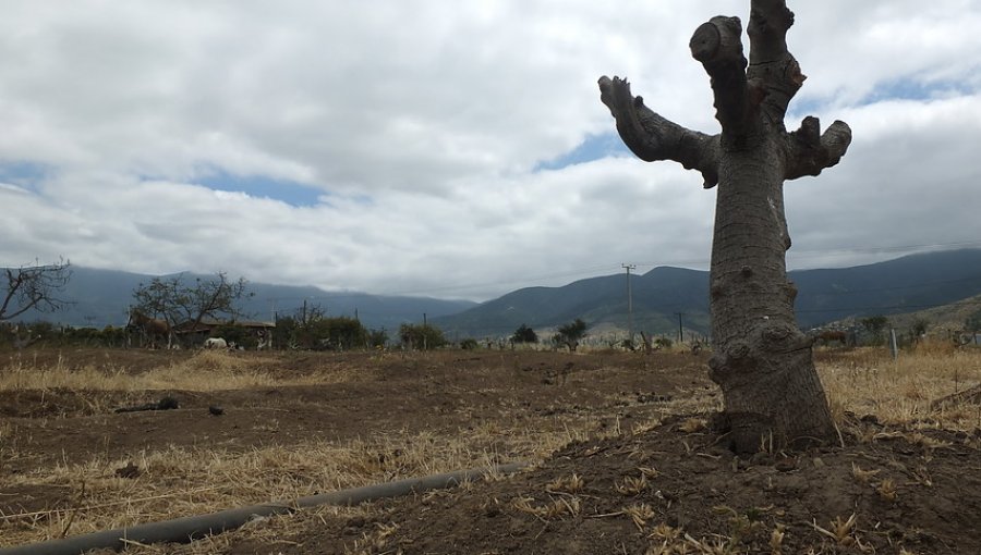 Gobierno decreta Zona de Catástrofe por sequía a comunas continentales de la región de Valparaíso