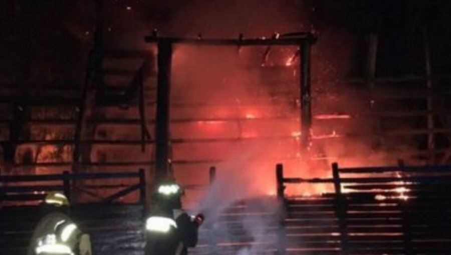 Incendio deja con graves daños a la principal medialuna de La Ligua: se encontraron panfletos de animalistas