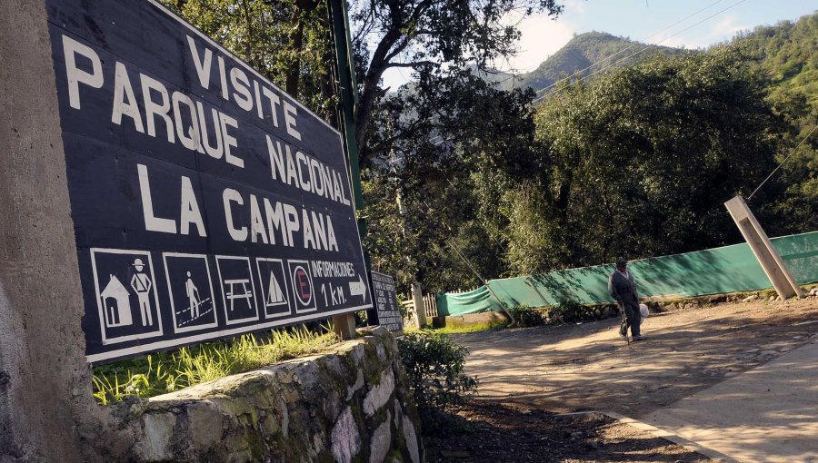 Rescatan a mujer de 57 años tras sufrir caída en el cerro La Campana