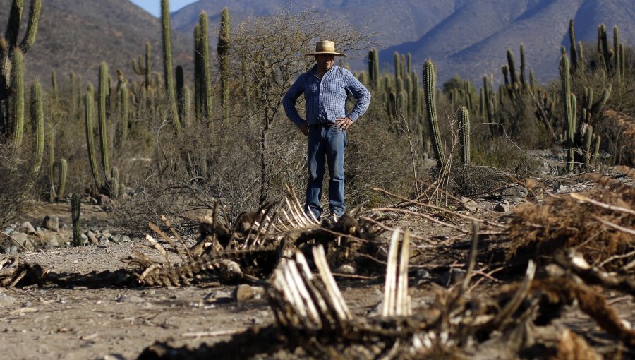 Moreno sobre sequía: "Esto sería lo más grande desde que tenemos registros"