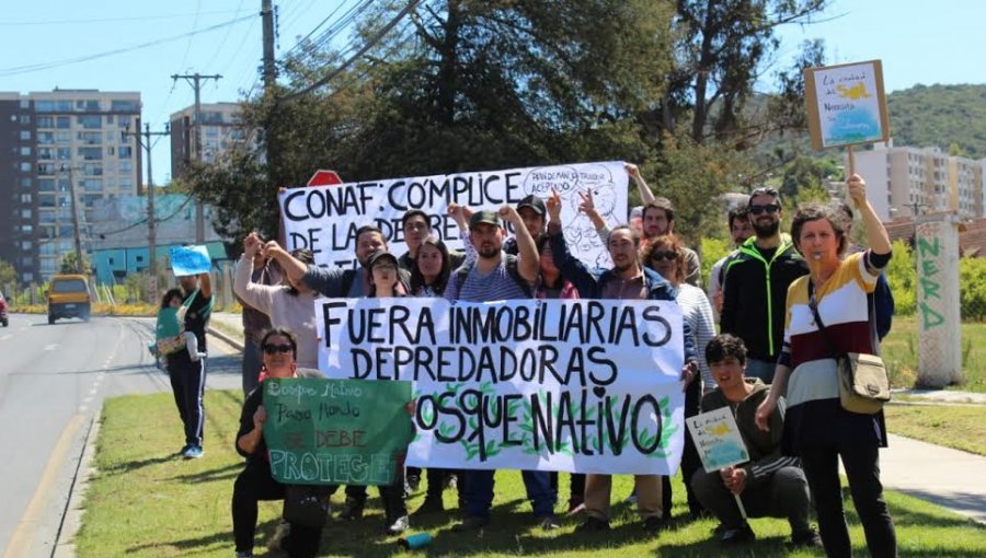 Protesta por tala de árboles en sector de Quilpué terminó con los vecinos detenidos