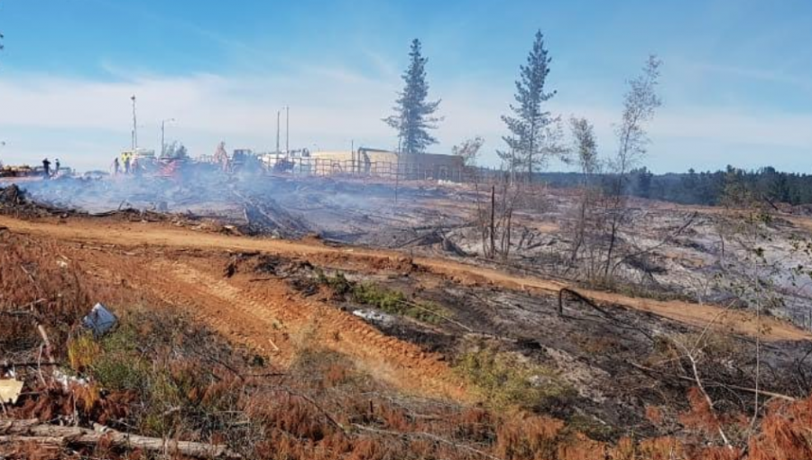 Conaf: Incendio forestal en Curauma permanece con actividad, pero con baja intensidad