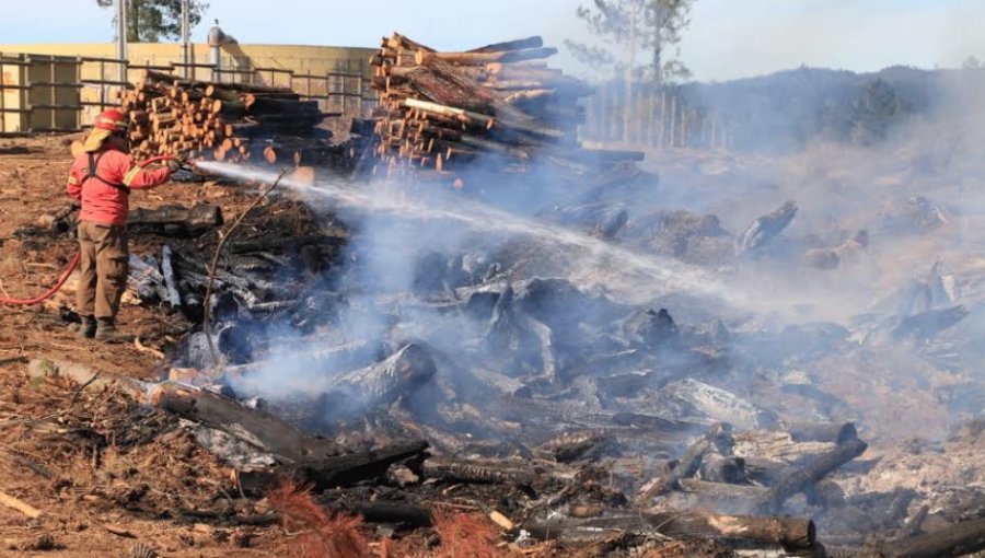 Mantienen Alerta Roja por incendio forestal que ha consumido casi 40 hectáreas en Curauma