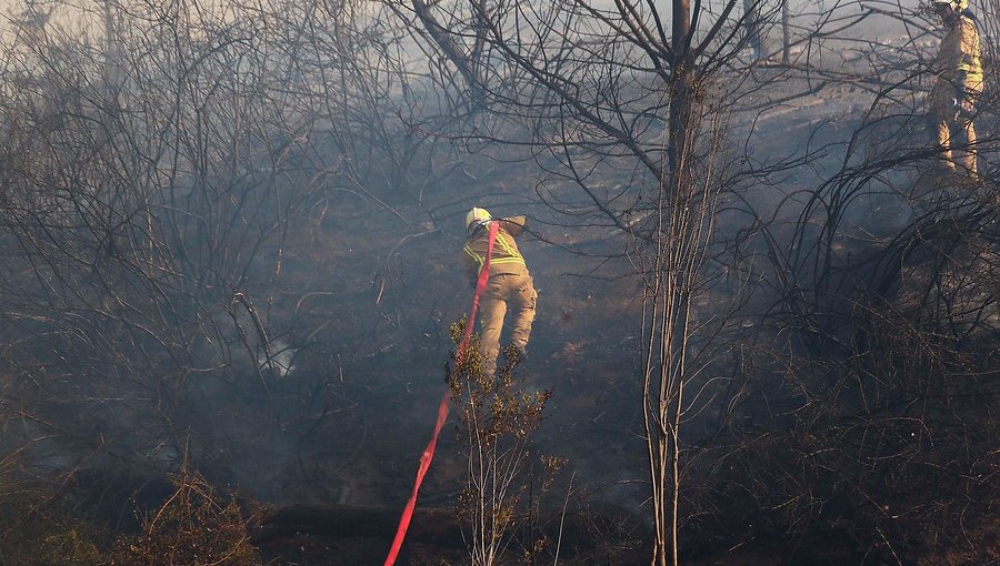 Incendio forestal en Curauma se mantiene activo y ha consumido 39,8 hectáreas de pastizal y arbolado