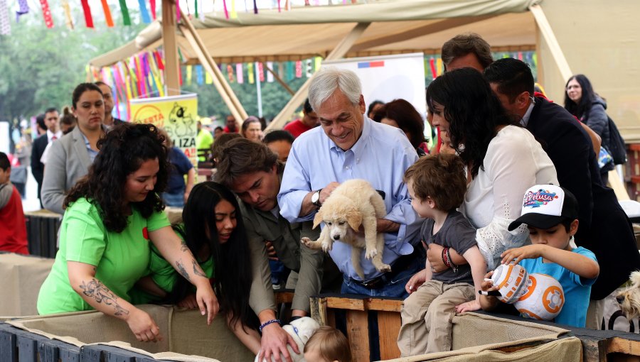 Presidente Piñera da el vamos a evento de tenencia responsable de mascotas