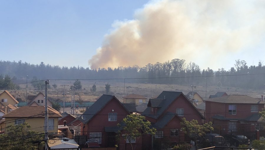 Incendio forestal de proporciones afecta a sector Tranque La Luz de Curauma