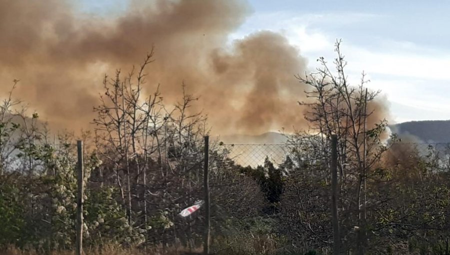 Diversos focos de incendios forestales en Limache