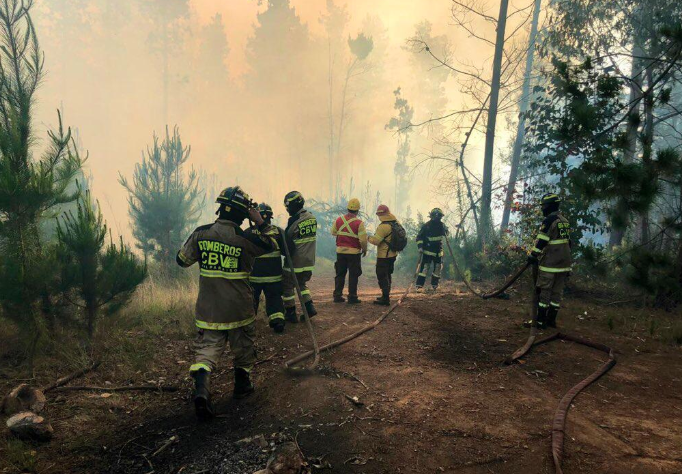 Alerta Amarilla en Valparaíso por tres focos activos de incendio forestal en Curauma