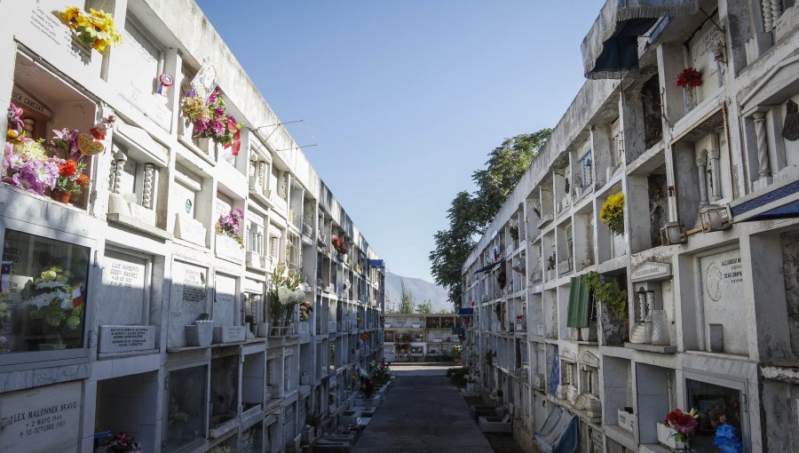Día de Todos los Santos: Baja afluencia de público en el Cementerio General