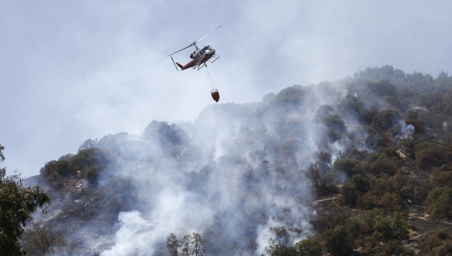 Incendio forestal se registra en el Cerro Chicauma de la comuna de Lampa
