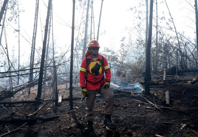 Incendio forestal declarado ha consumido 1,5 hectáreas en laguna de Curauma