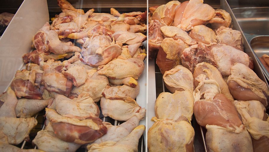 Fiscalía Económica pide elevar multas a cadenas de supermercados por "colusión de los pollos"