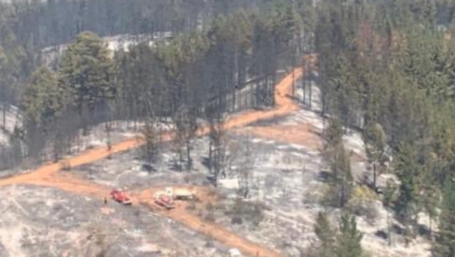 Incendio forestal en Curauma ha consumido 365 hectáreas: se mantiene la Alerta Roja en Valparaíso